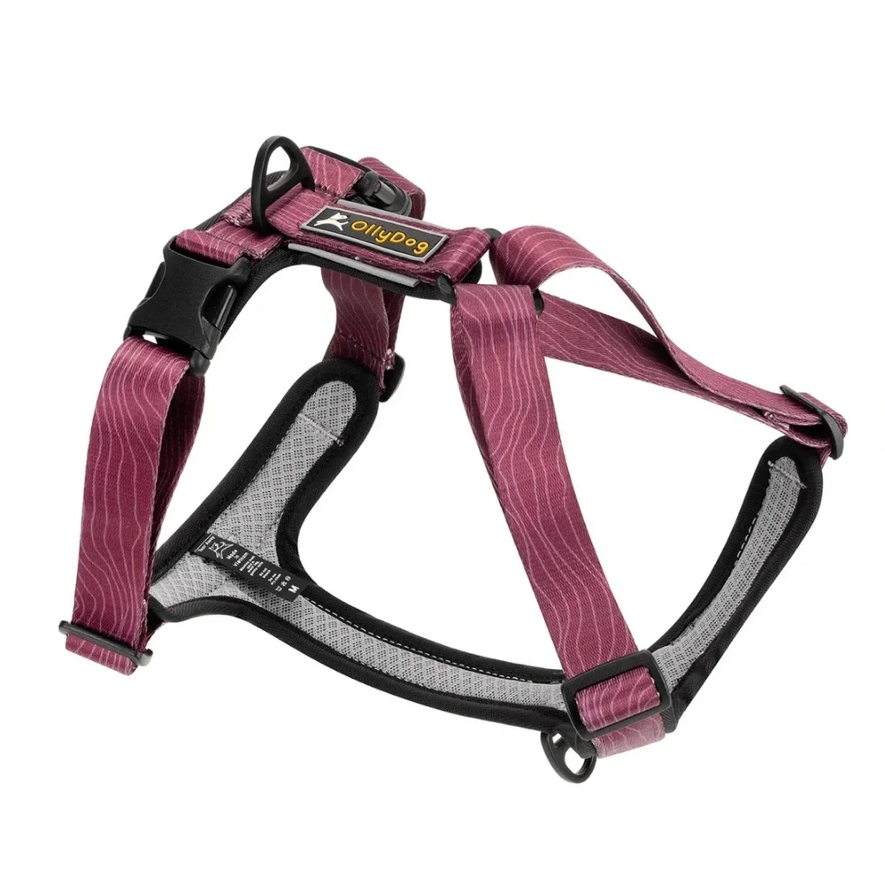 Ollydog Alpine Reflective Comfort Harness and Flagstaff Adjustable Leash